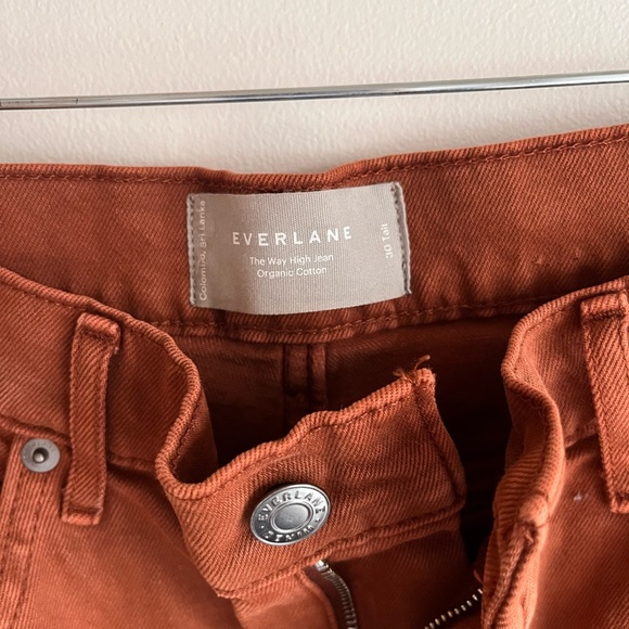 Everlane Way High Jean in Rich Earth - Picture 4 of 4